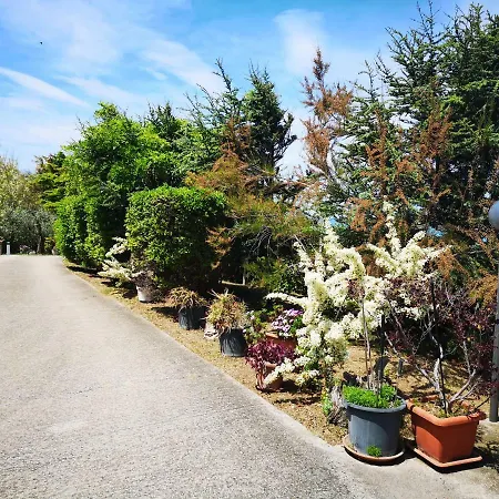 Vacanze Al Mare In *