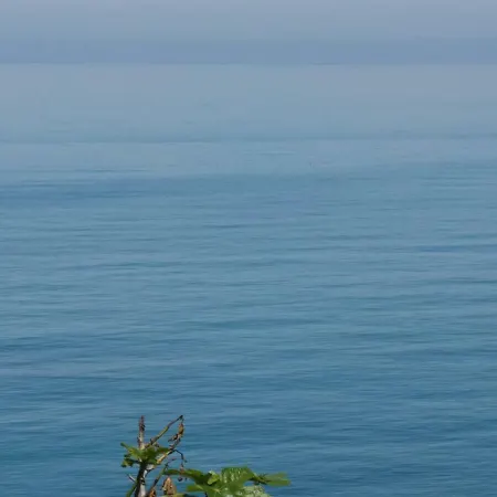 Vacanze Al Mare In 公寓